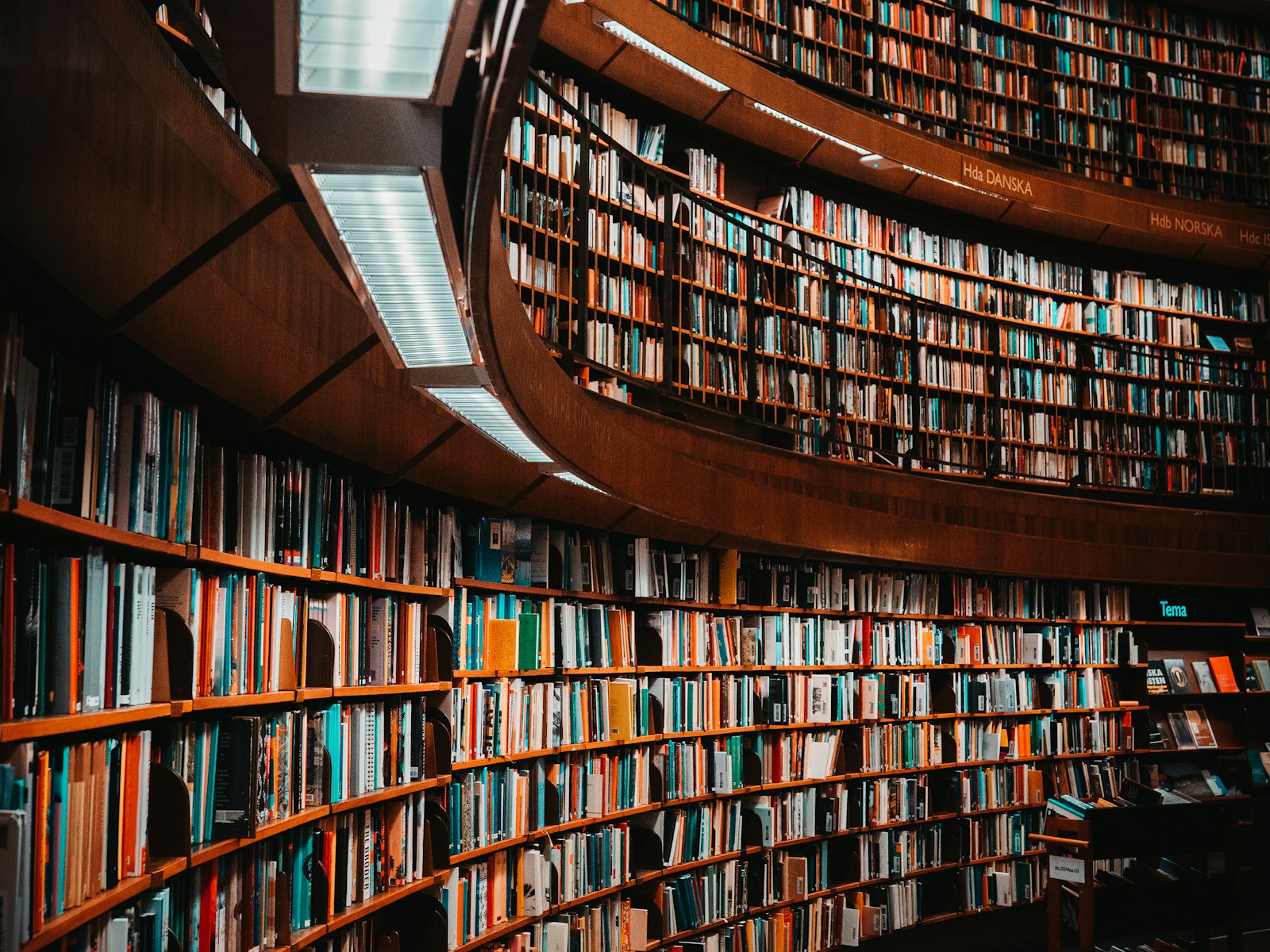 A leather-bound library, fire just lit.